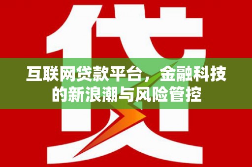 林西互联网贷款平台，金融科技的新浪潮与风险管控