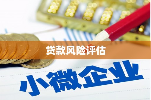 林西贷款风险评估