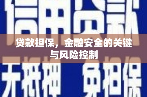 林西贷款担保，金融安全的关键与风险控制