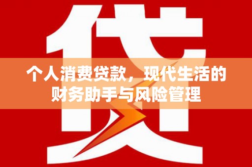 林西个人消费贷款，现代生活的财务助手与风险管理