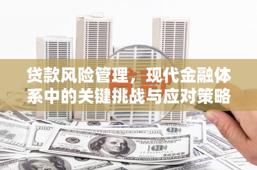 林西贷款风险管理，现代金融体系中的关键挑战与应对策略