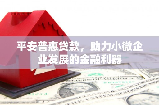 林西平安普惠贷款，助力小微企业发展的金融利器