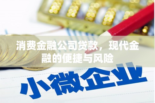 林西消费金融公司贷款，现代金融的便捷与风险