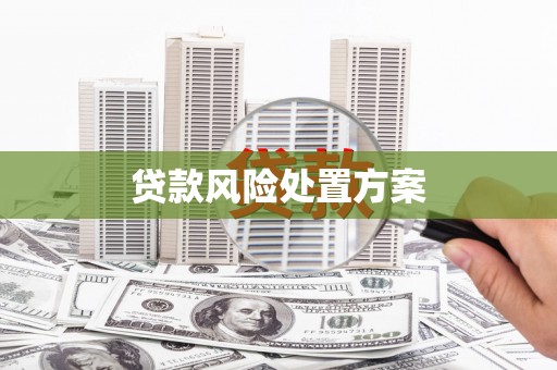 林西贷款风险处置方案