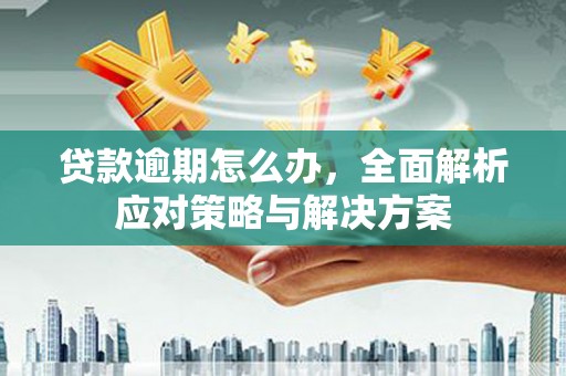 林西贷款逾期怎么办，全面解析应对策略与解决方案