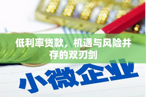 林西低利率贷款，机遇与风险并存的双刃剑