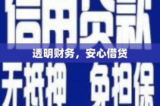 林西透明财务，安心借贷