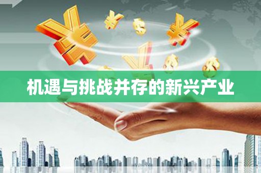 林西机遇与挑战并存的新兴产业