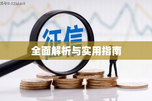 林西全面解析与实用指南