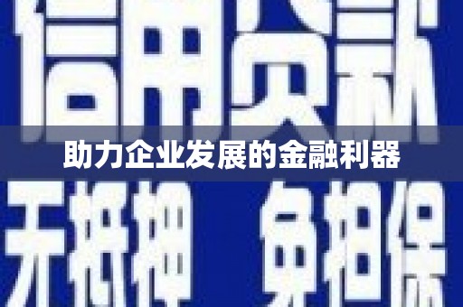 林西助力企业发展的金融利器