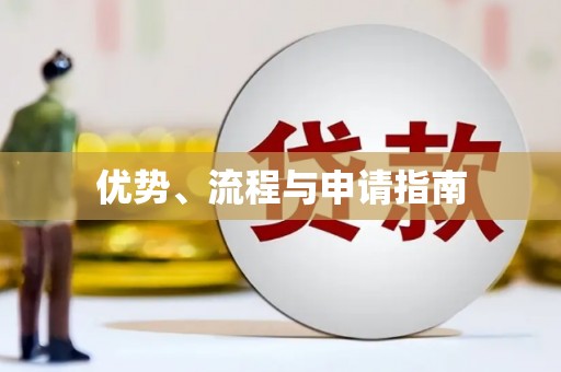 林西优势、流程与申请指南