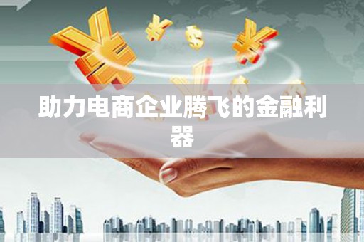 林西助力电商企业腾飞的金融利器