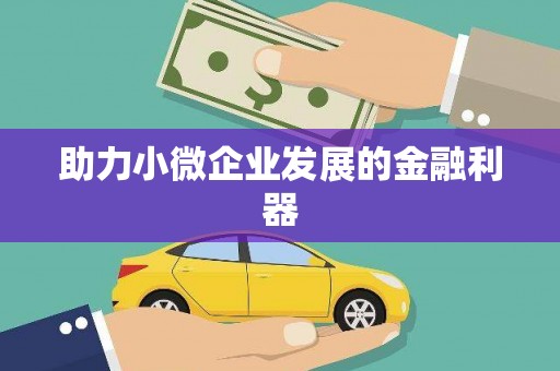 林西助力小微企业发展的金融利器