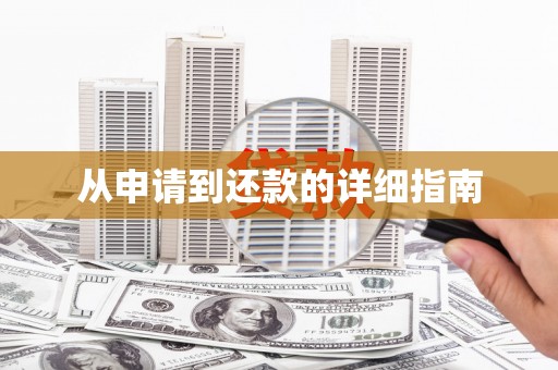 林西从申请到还款的详细指南