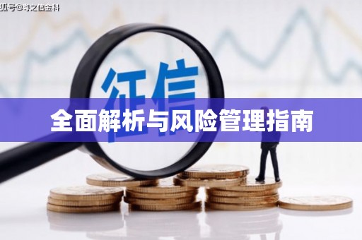 林西全面解析与风险管理指南