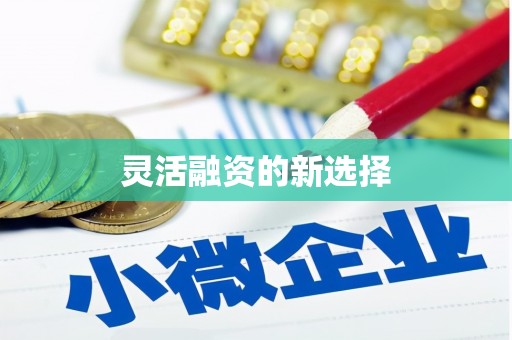 林西灵活融资的新选择