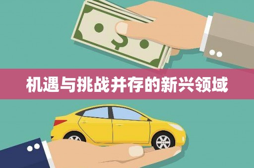 林西机遇与挑战并存的新兴领域