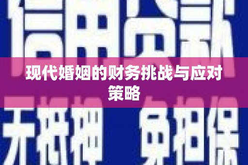 林西现代婚姻的财务挑战与应对策略