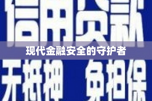 林西现代金融安全的守护者