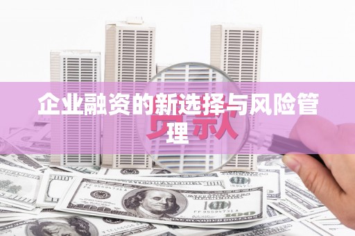 林西企业融资的新选择与风险管理