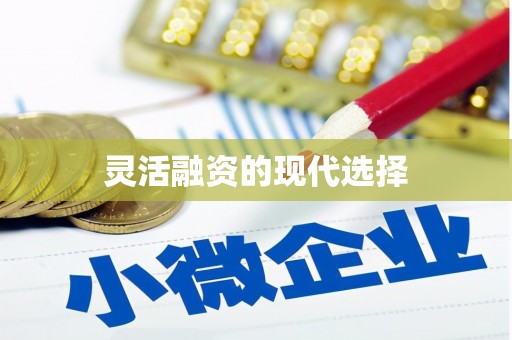 林西灵活融资的现代选择