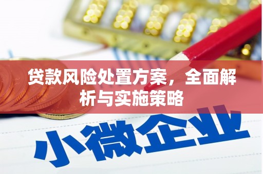 林西贷款风险处置方案，全面解析与实施策略