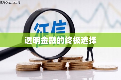 林西透明金融的终极选择