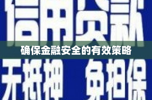 林西确保金融安全的有效策略