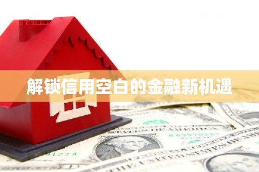 林西解锁信用空白的金融新机遇