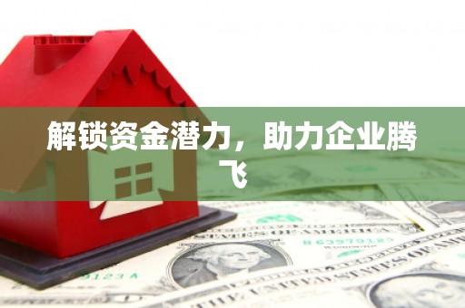林西解锁资金潜力，助力企业腾飞