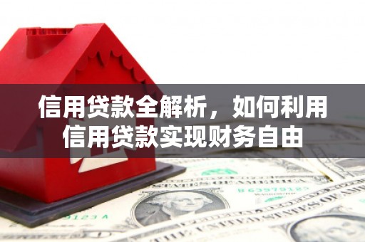 林西信用贷款全解析，如何利用信用贷款实现财务自由