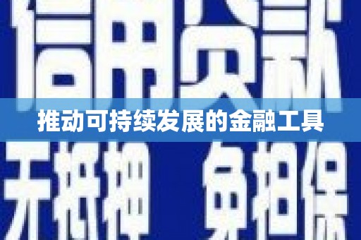 林西推动可持续发展的金融工具