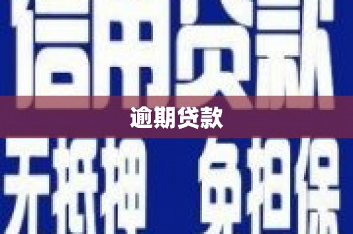 林西逾期贷款