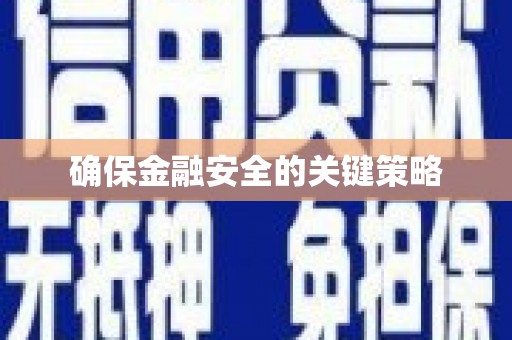 林西确保金融安全的关键策略