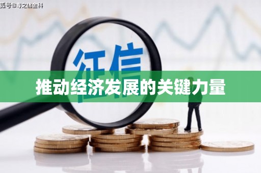 林西推动经济发展的关键力量