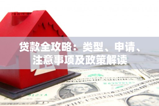 林西贷款全攻略：类型、申请、注意事项及政策解读